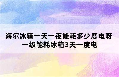 海尔冰箱一天一夜能耗多少度电呀 一级能耗冰箱3天一度电